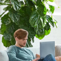 Is a Life Coaching Business Profitable?